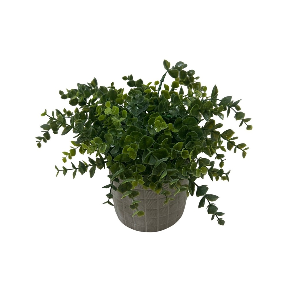Artificial Eucalyptus Potted Plant Faux‎ Greenery in Grey Textured Cement Pot